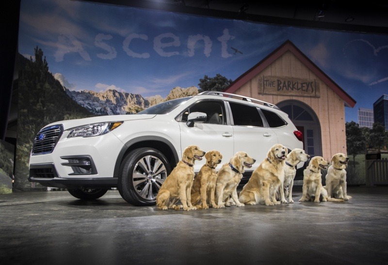 More information about "2019 Subaru Ascent is the Forester XL"